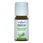 Rozemarijn olie 10ml