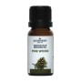 Parf-oil pine 10ml