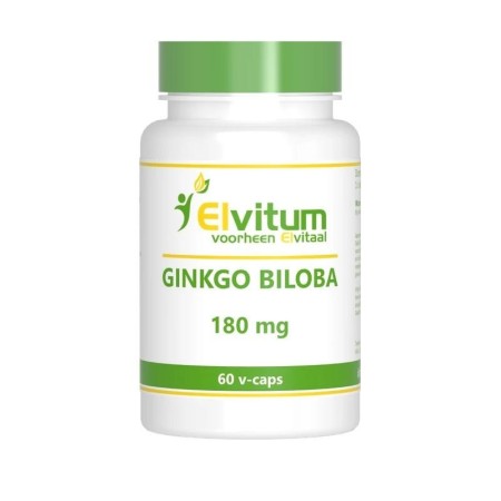 Ginkgo biloba