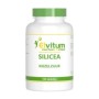 Silicea/silicium
