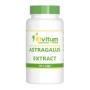 Astragalus