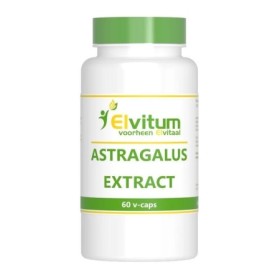Astragalus