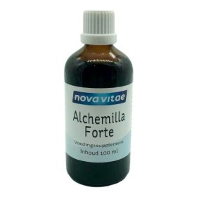 Alchemilla forte (vrouwenmantel)