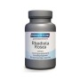 Rhodiola rosea extract