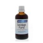 Solidago forte