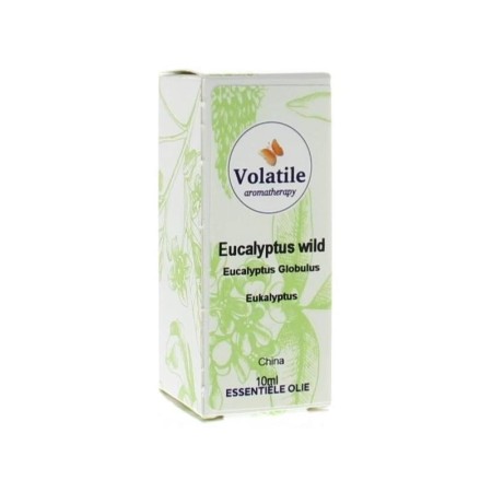 Eucalyptus, wild