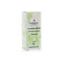Eucalyptus wild bio