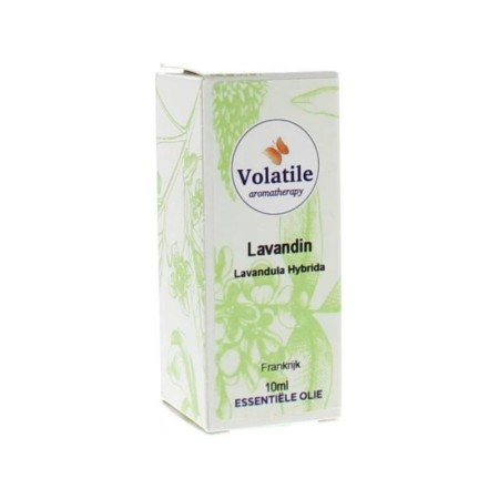 Lavandin