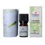 Lemongrass