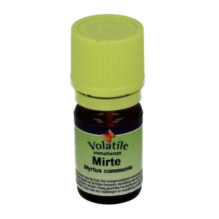 Mirte