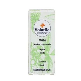 Mirte