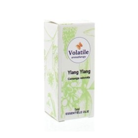 Ylang-ylang
