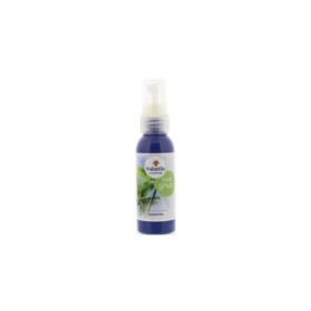 Roomspray summertime 50ml