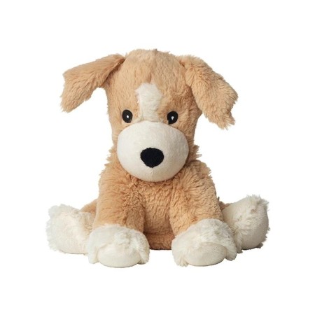 Hond puppy