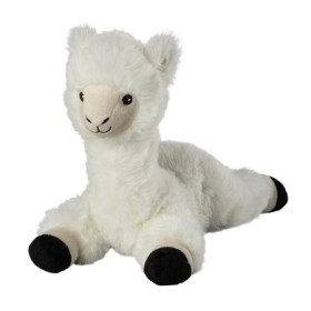 Lama