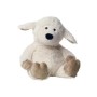 Schaap lavendi