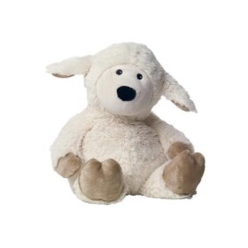Schaap lavendi
