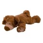 Sleepy beer bruin