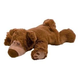 Sleepy beer bruin