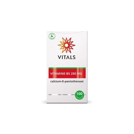 Vitamine b5 250mg calcium-d-pantothenaat