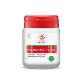 Vitamine b12 1000mcg met folaat 500mcg
