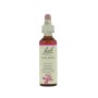 Bach crab apple / appel no 10