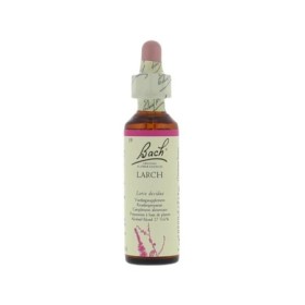 Bach larch / lariks no 19