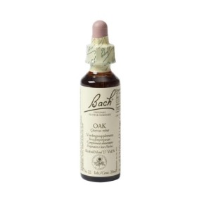 Bach oak / zomereik no 22
