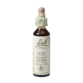 Bach olive / olijf no 23