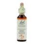 Bach rock rose/zonneroosje no 26