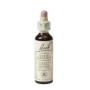 Bach white chestnut/paardekastanje no 35
