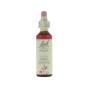 Bach willow / wilg no 38