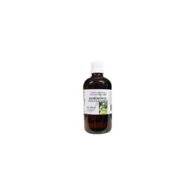 Angelica officinalis rad/engelwortel bio