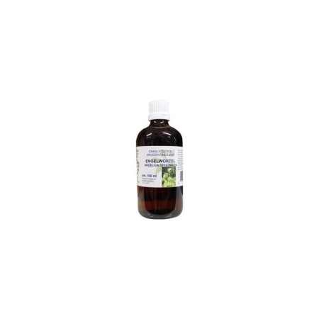 Angelica officinalis rad/engelwortel bio