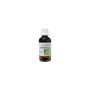 Armoracia rusticana rad/mierikswortel bo