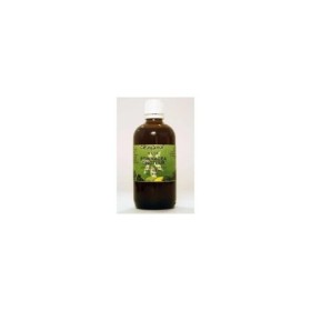 Cola vera fruct/colanoot
