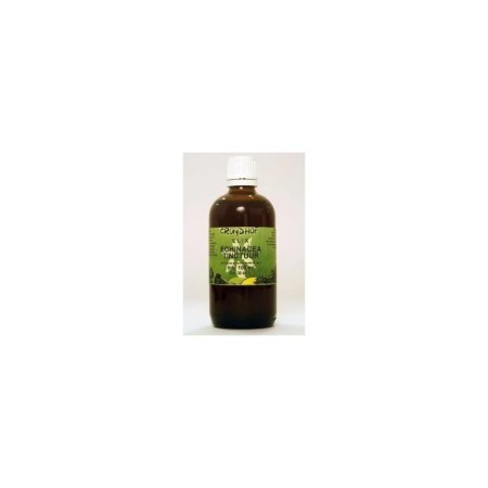 Cola vera fruct/colanoot