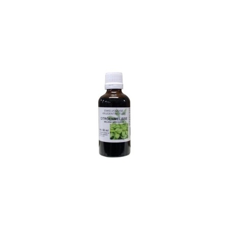 Melissa officinalis hrb/citroenmelisse