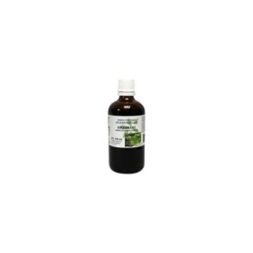 Quercus robur cort/ eikenbast bio