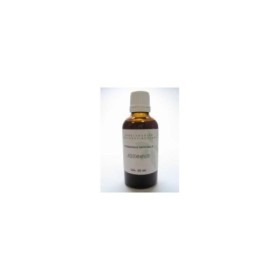 Rosmarinus officinalis fol/ rozemarijn