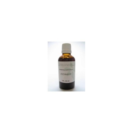 Rosmarinus officinalis fol/ rozemarijn