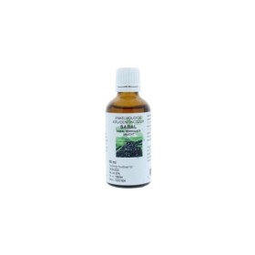 Sabal serrulata fruct/sabal