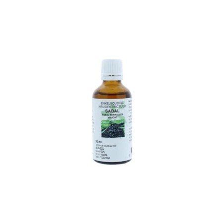Sabal serrulata fruct/sabal