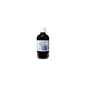 Tabebuia impetiginosa cort/pau d'arco