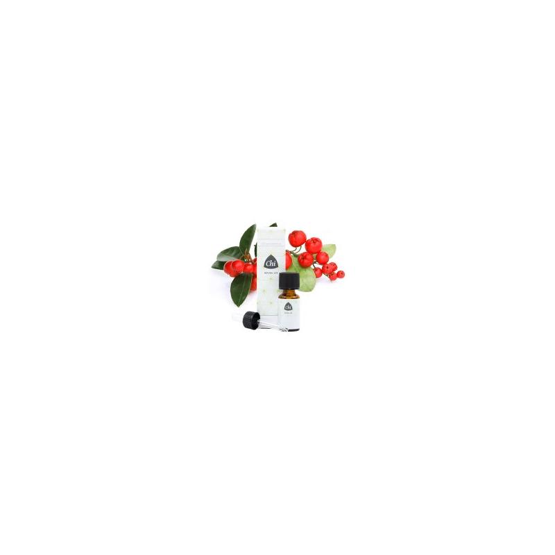 Chi Chi Wintergreen, Wild - 10ml