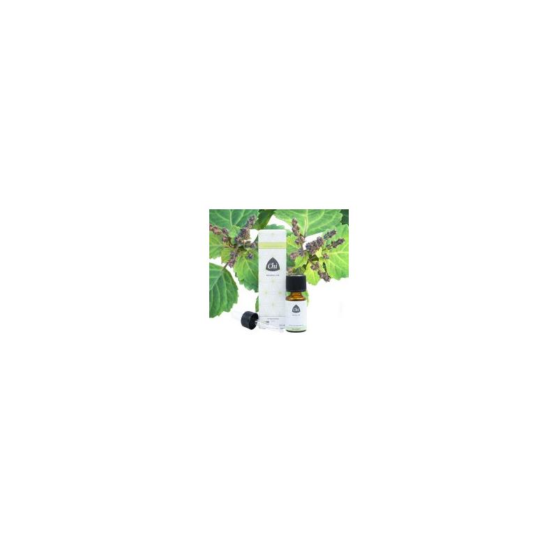 Chi Chi Patchouli, BIO - 10ml