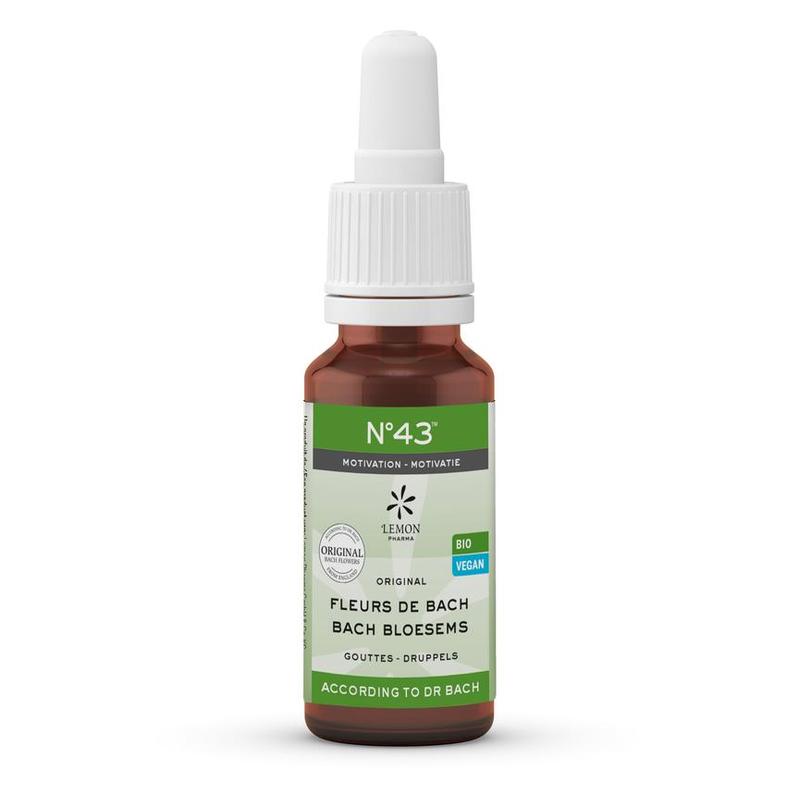 Lemon pharma Lemon Pharma Bach bloesem melange Nr. 43 Motivatie BI - 20ml