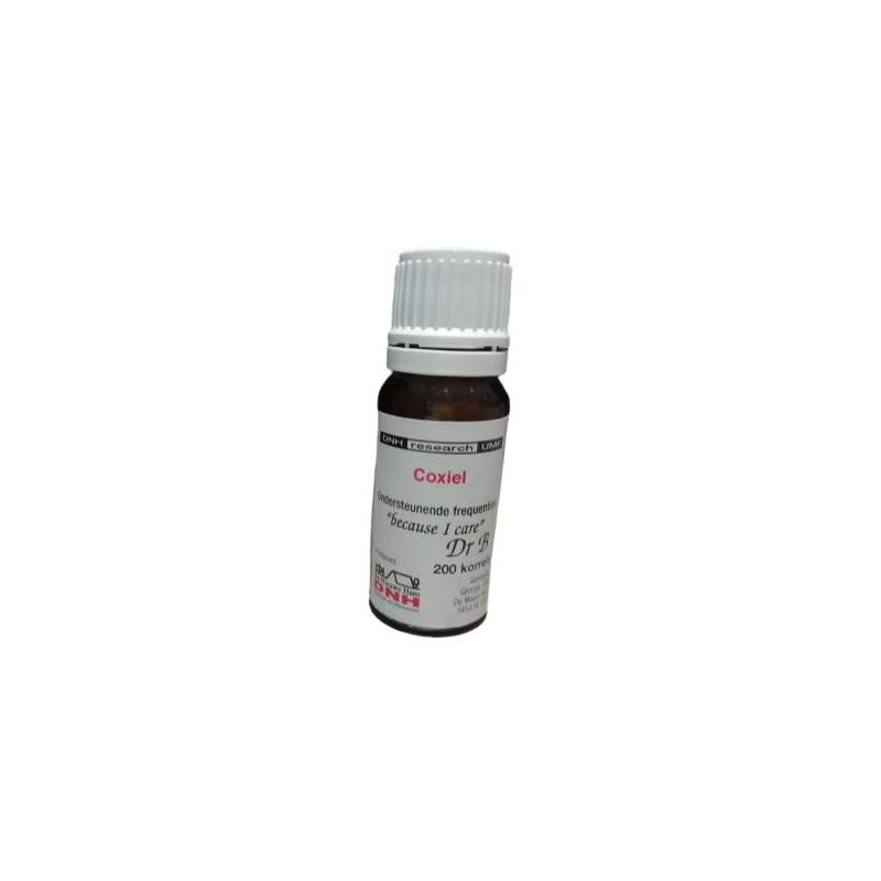 Dnh research DNH Research Coxiel - 200st
