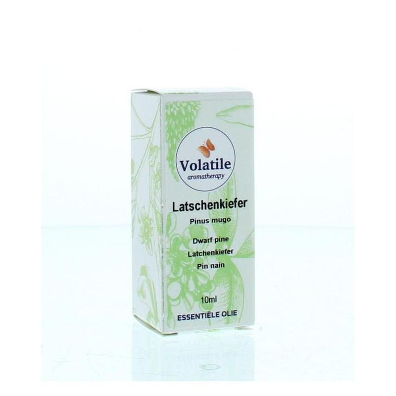 Volatile VOLATILE Latchenkiefer - 10ml