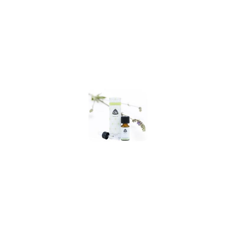 Chi Chi Lavendel, Spijk, BIO - 10ml